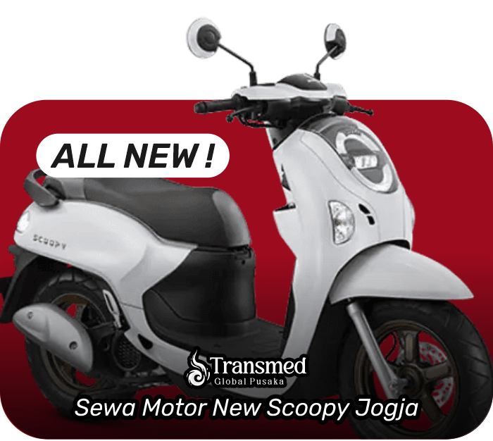 New Scoopy